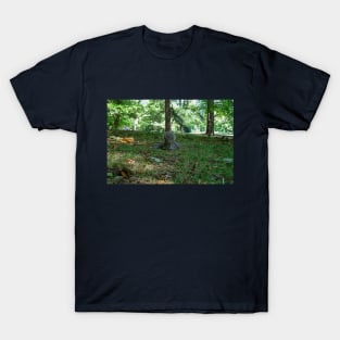 Nature Squirrel Prone in Park T-Shirt